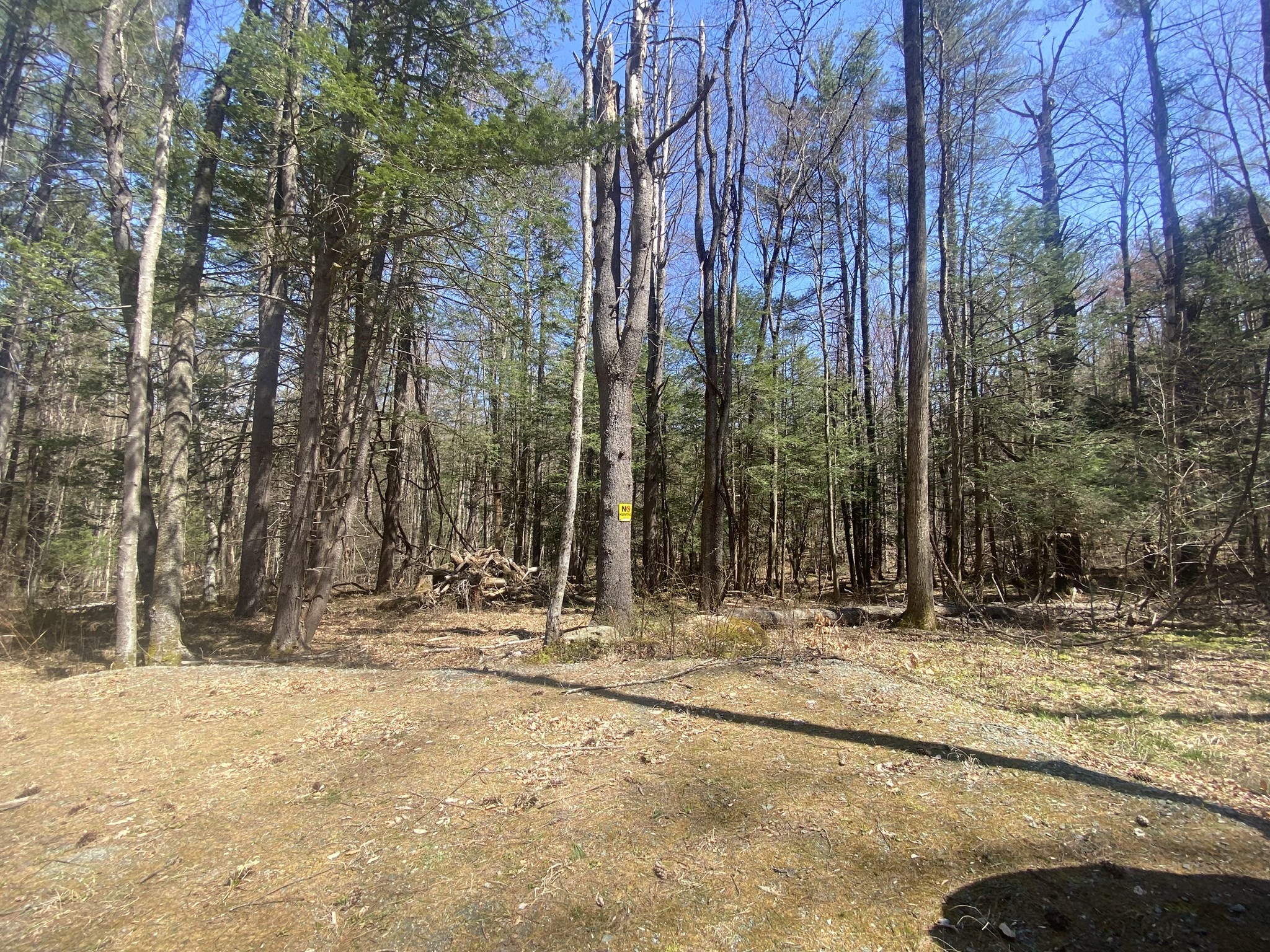 0 Schaefer Way, Charlemont, MA 01339 - Image 4