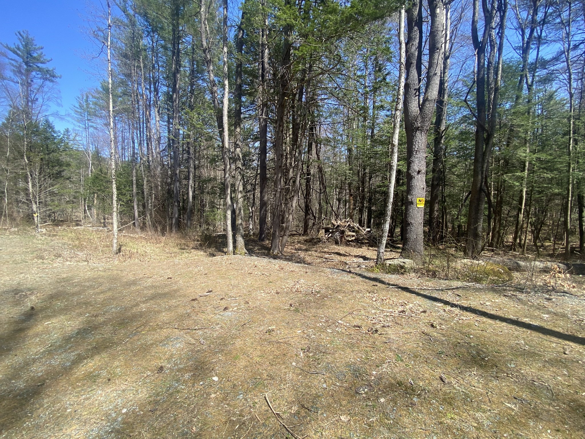 0 Schaefer Way, Charlemont, MA 01339 - Image 5