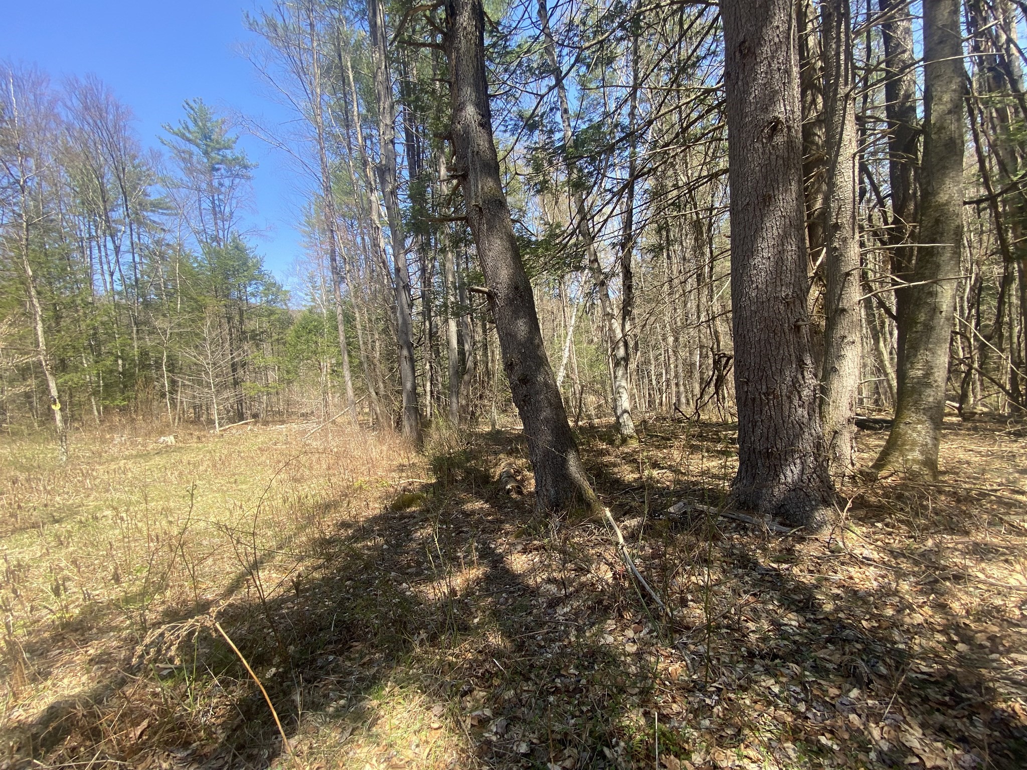 0 Schaefer Way, Charlemont, MA 01339 - Image 6