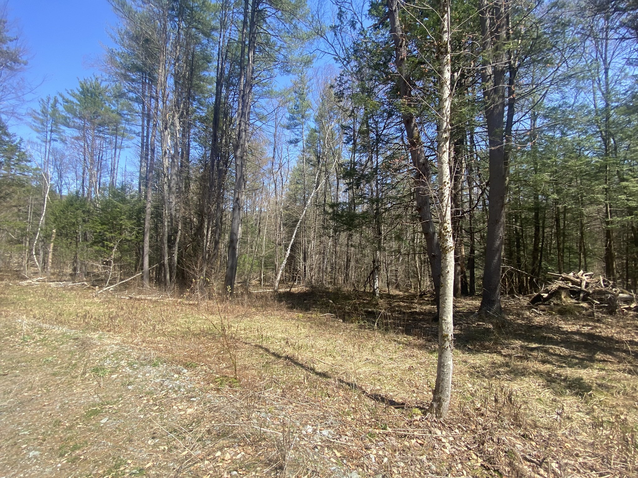 0 Schaefer Way, Charlemont, MA 01339 - Image 10