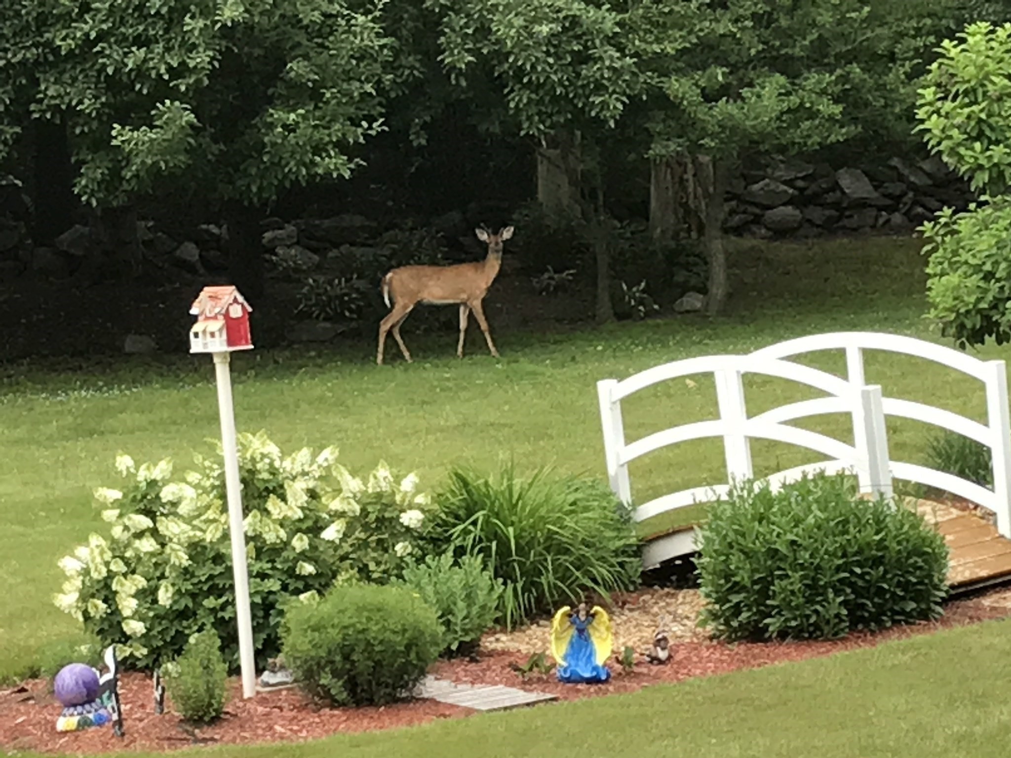 3 Joyce Dr, Tyngsborough, MA 01879 - Image 38