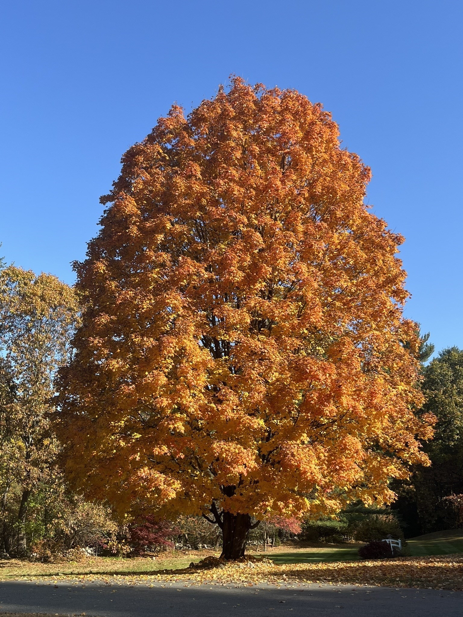 3 Joyce Dr, Tyngsborough, MA 01879 - Image 39