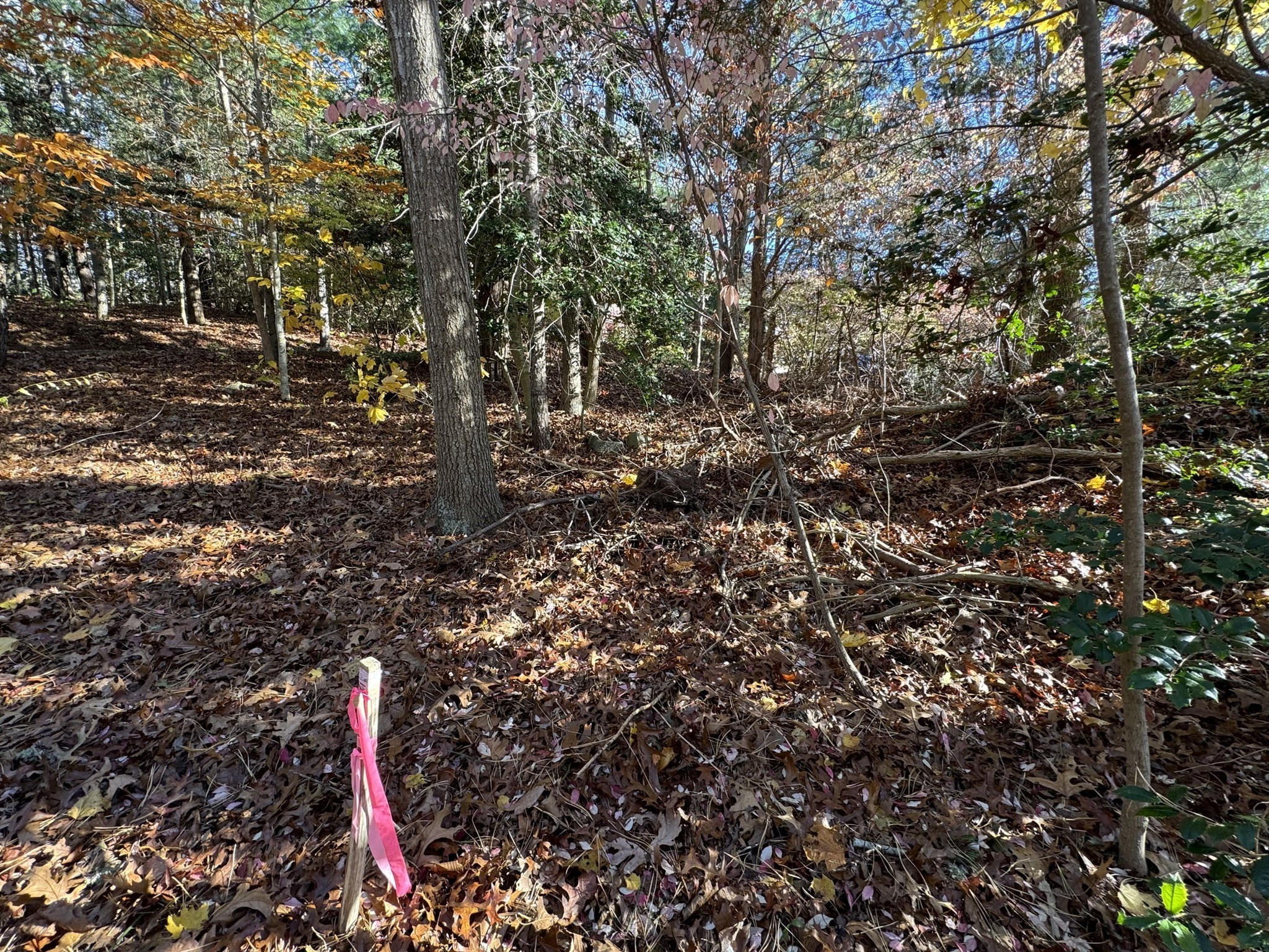 60 Richards Ln, Barnstable, MA 02632 - Image 11