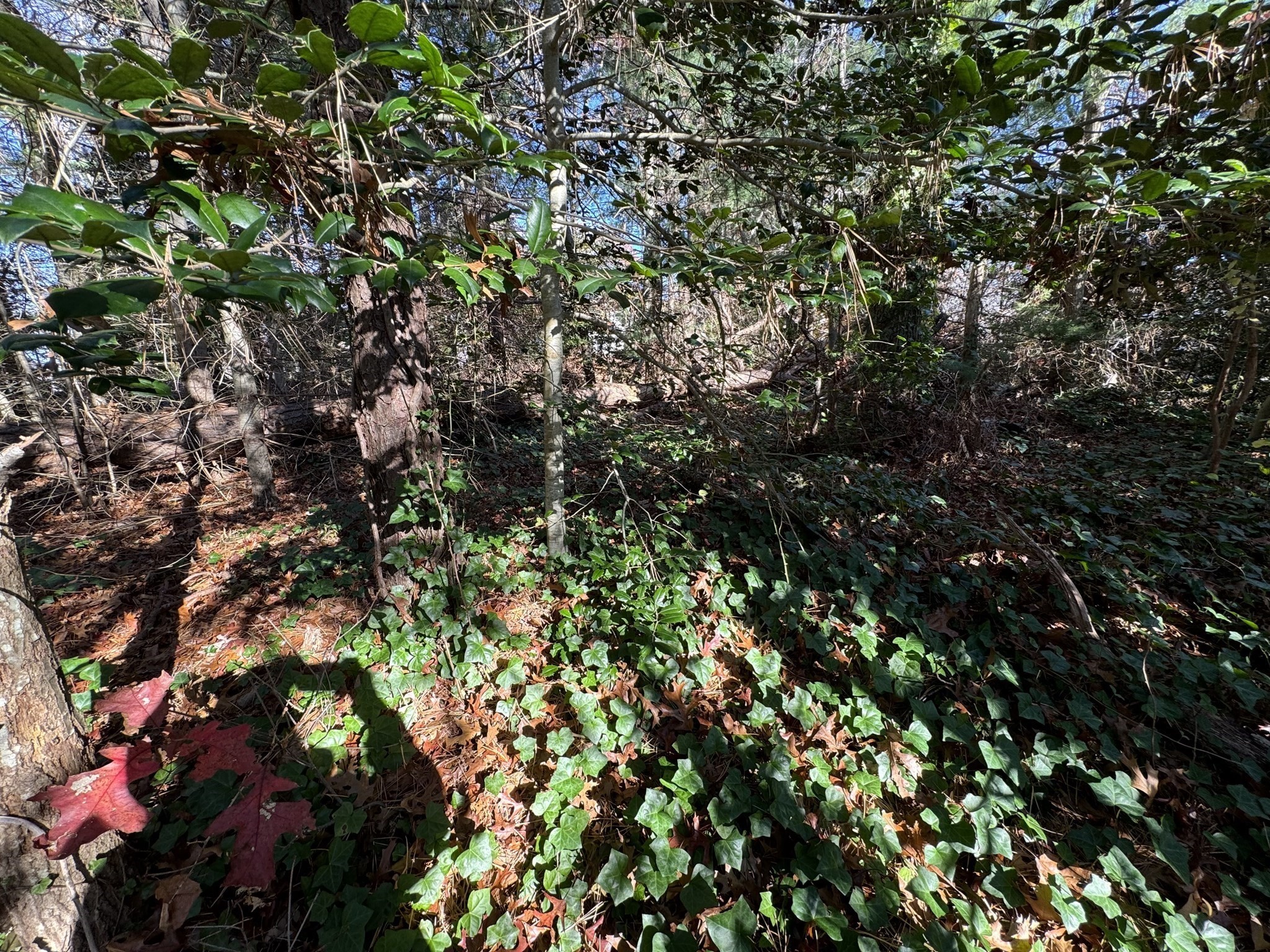 60 Richards Ln, Barnstable, MA 02632 - Image 15