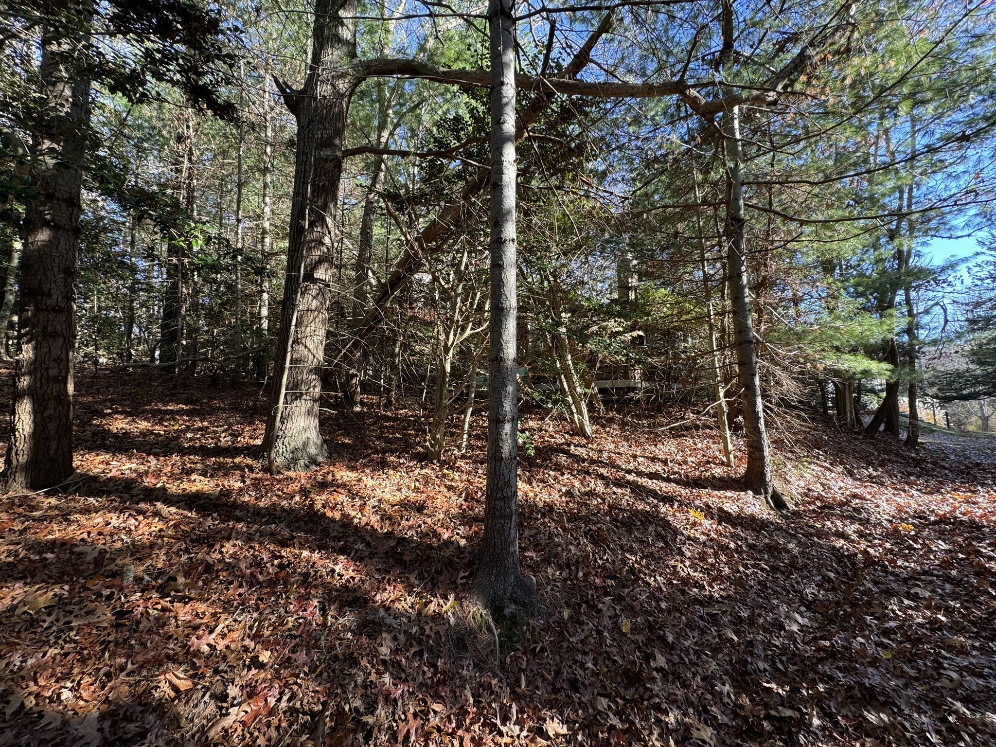 60 Richards Ln, Barnstable, MA 02632 - Image 21