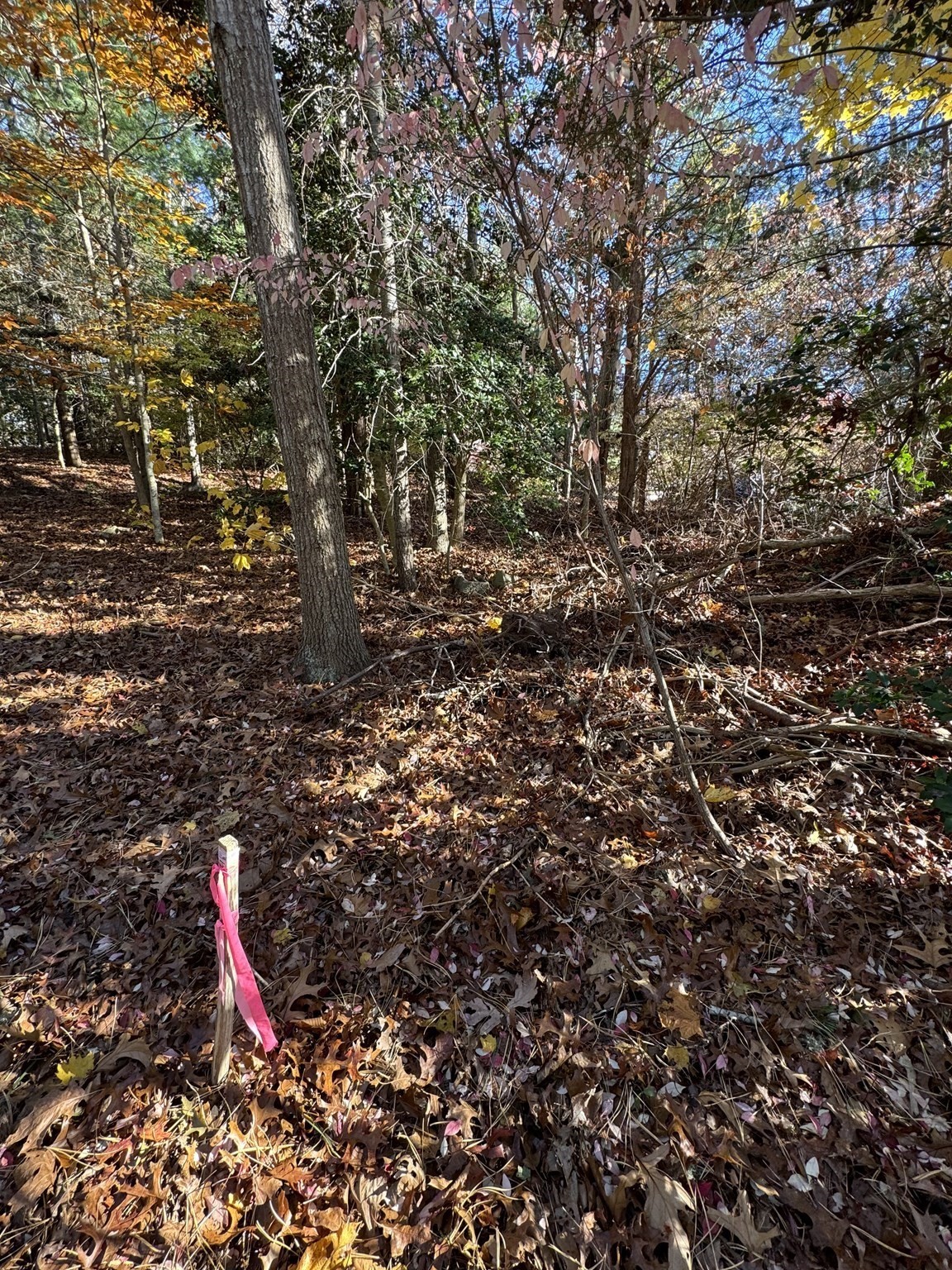 60 Richards Ln, Barnstable, MA 02632 - Image 10