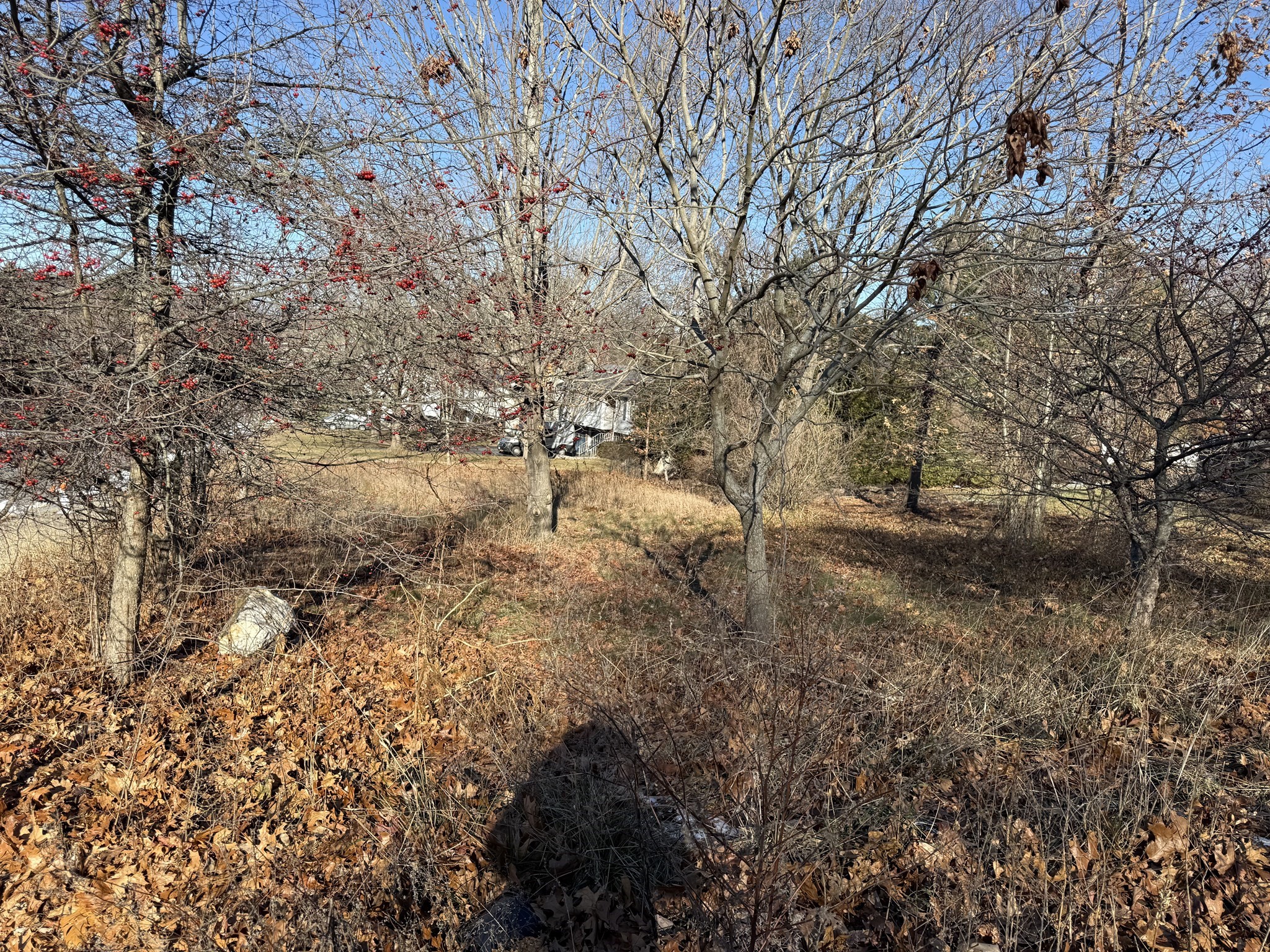 0 Stevens St, Marlborough, MA 01752 - Image 9