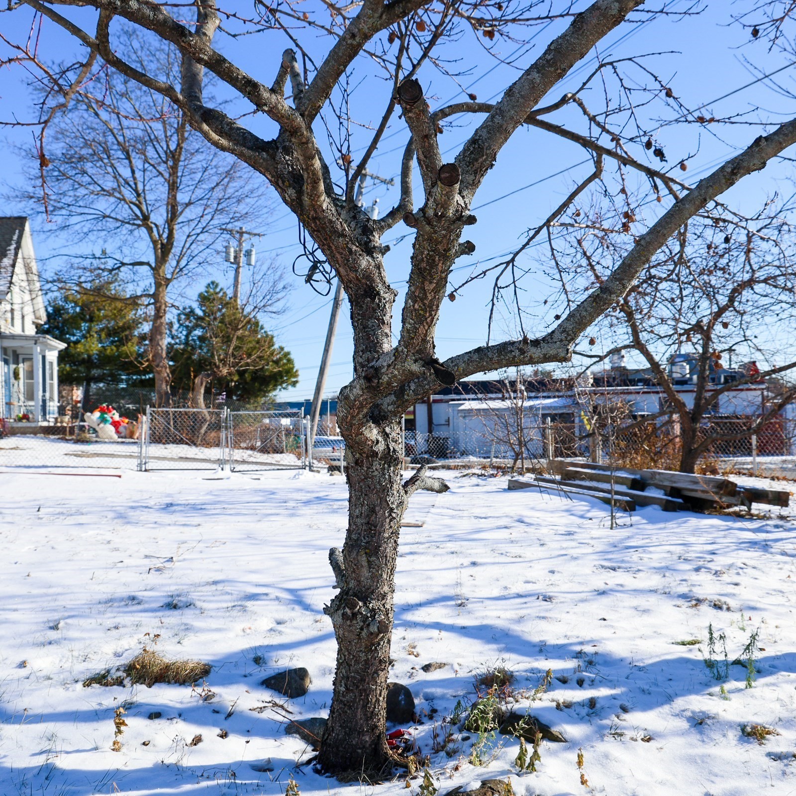 186 Powell St, Lowell, MA 01851 - Image 6