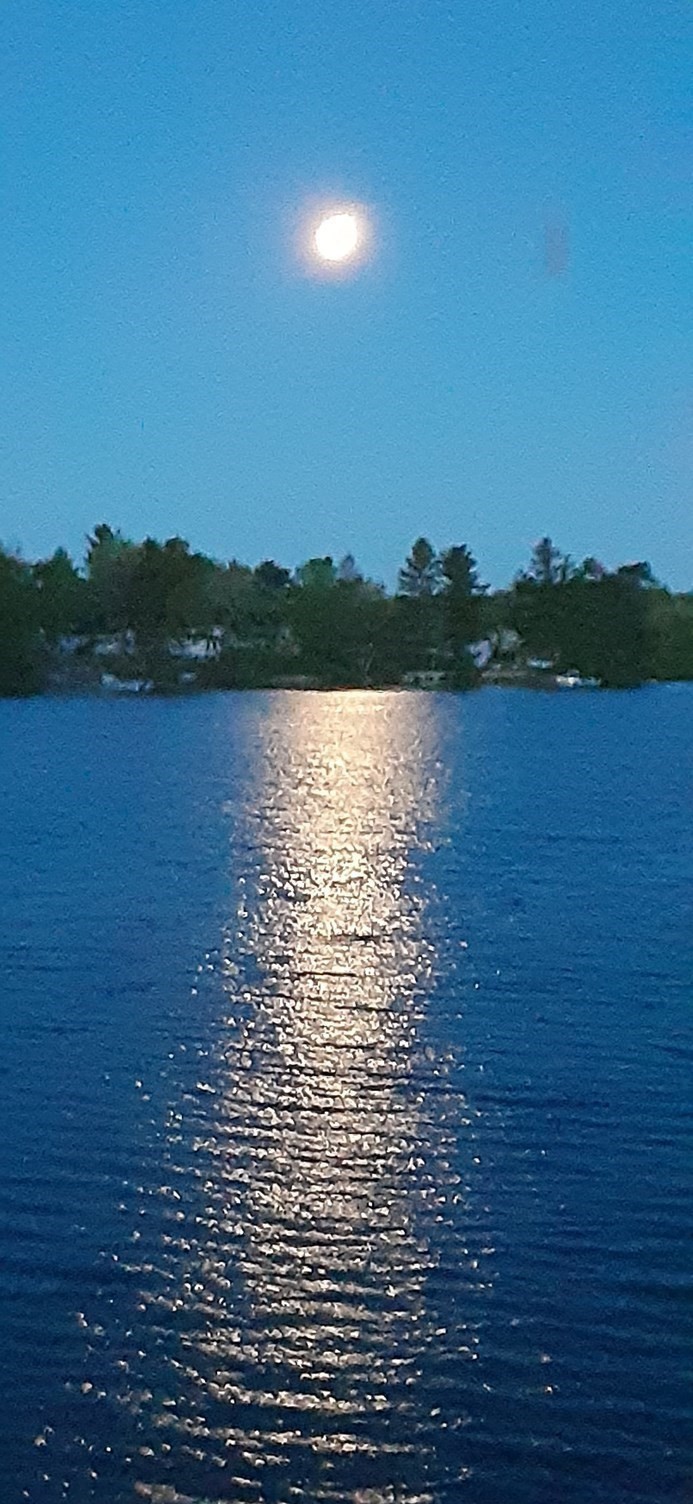 10 Indian Point Rd, Webster, MA 01570 - Image 39