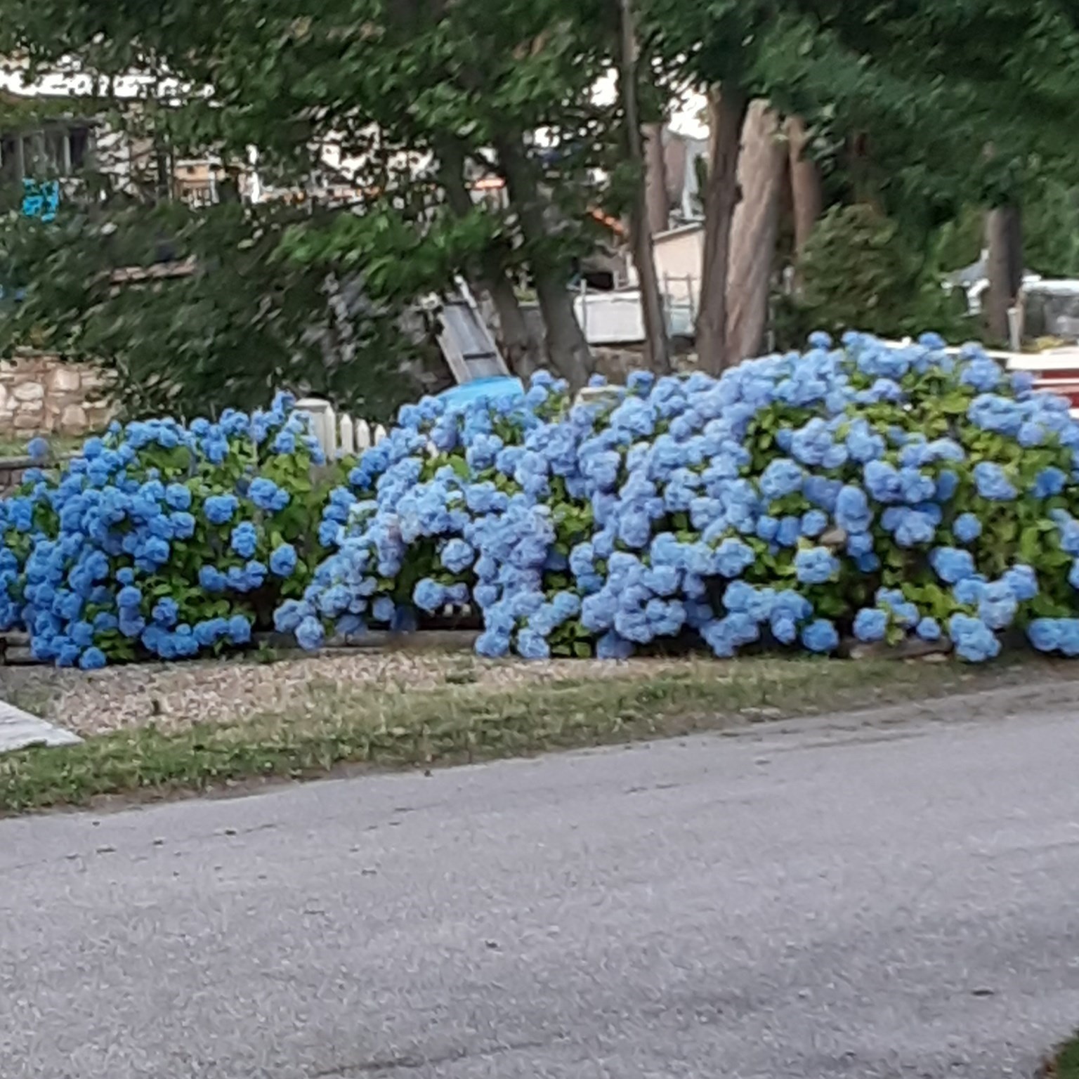 10 Indian Point Rd, Webster, MA 01570 - Image 40