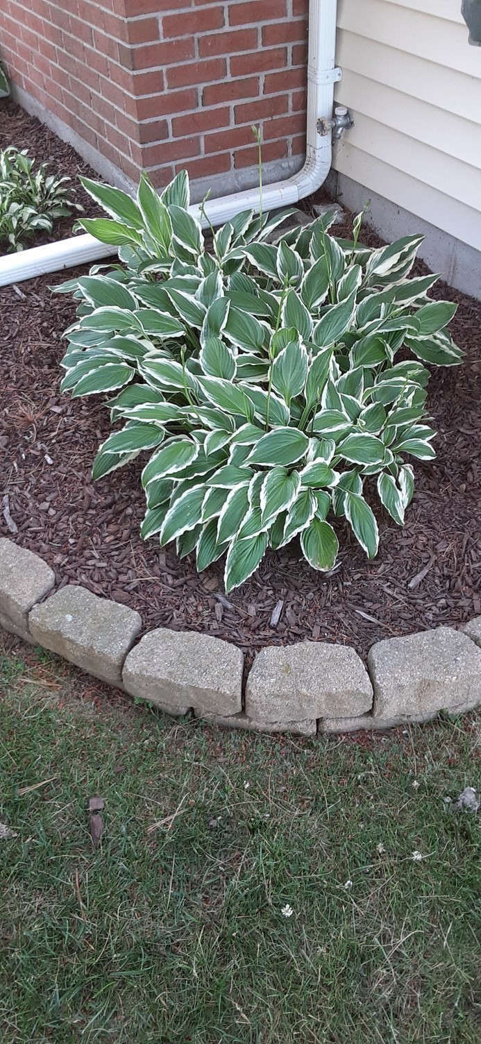 10 Indian Point Rd, Webster, MA 01570 - Image 41