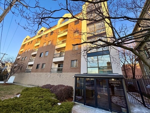 24 Corey St, Apt 101