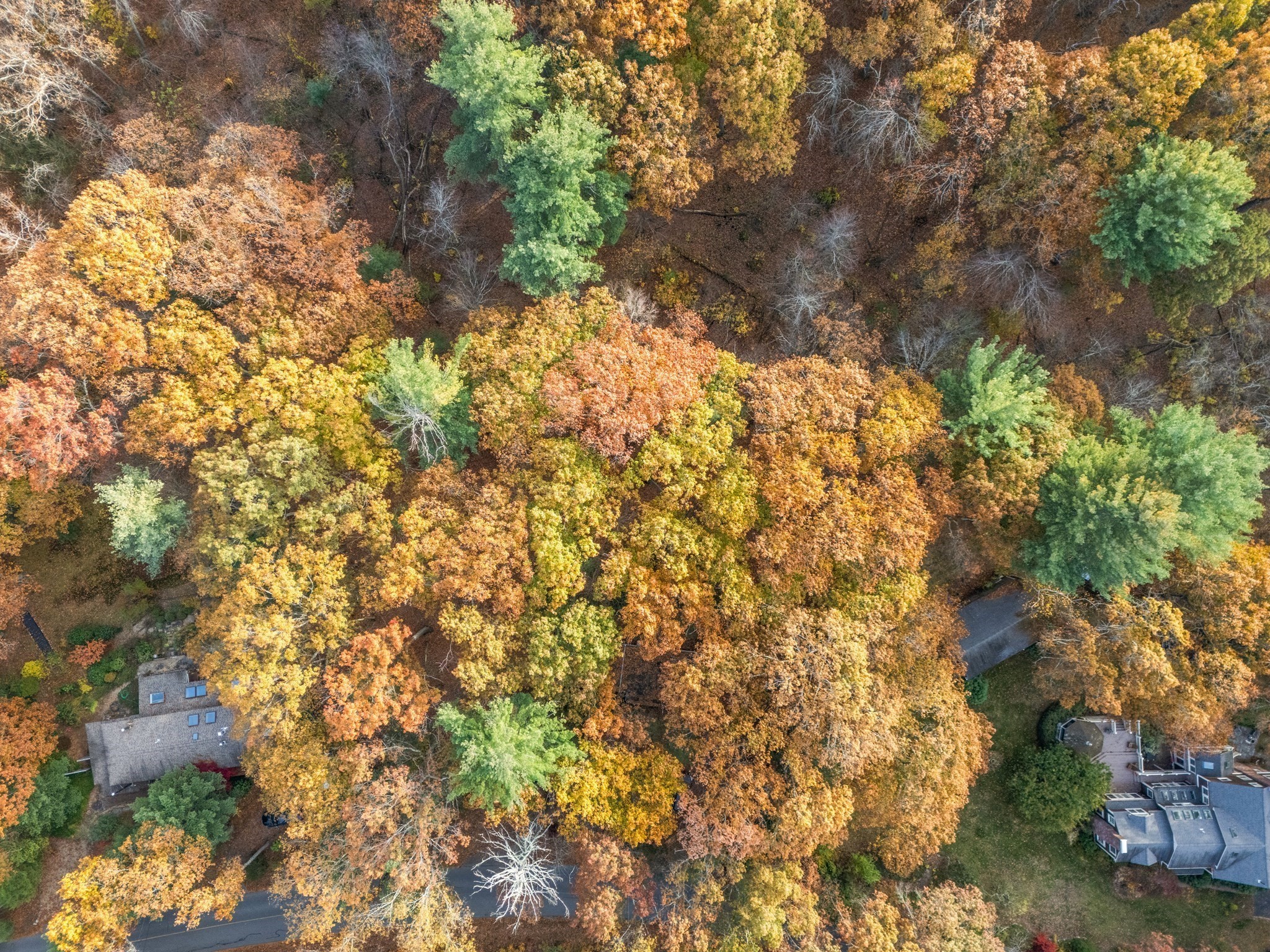 89 Lexington Road, Lincoln, MA 01773