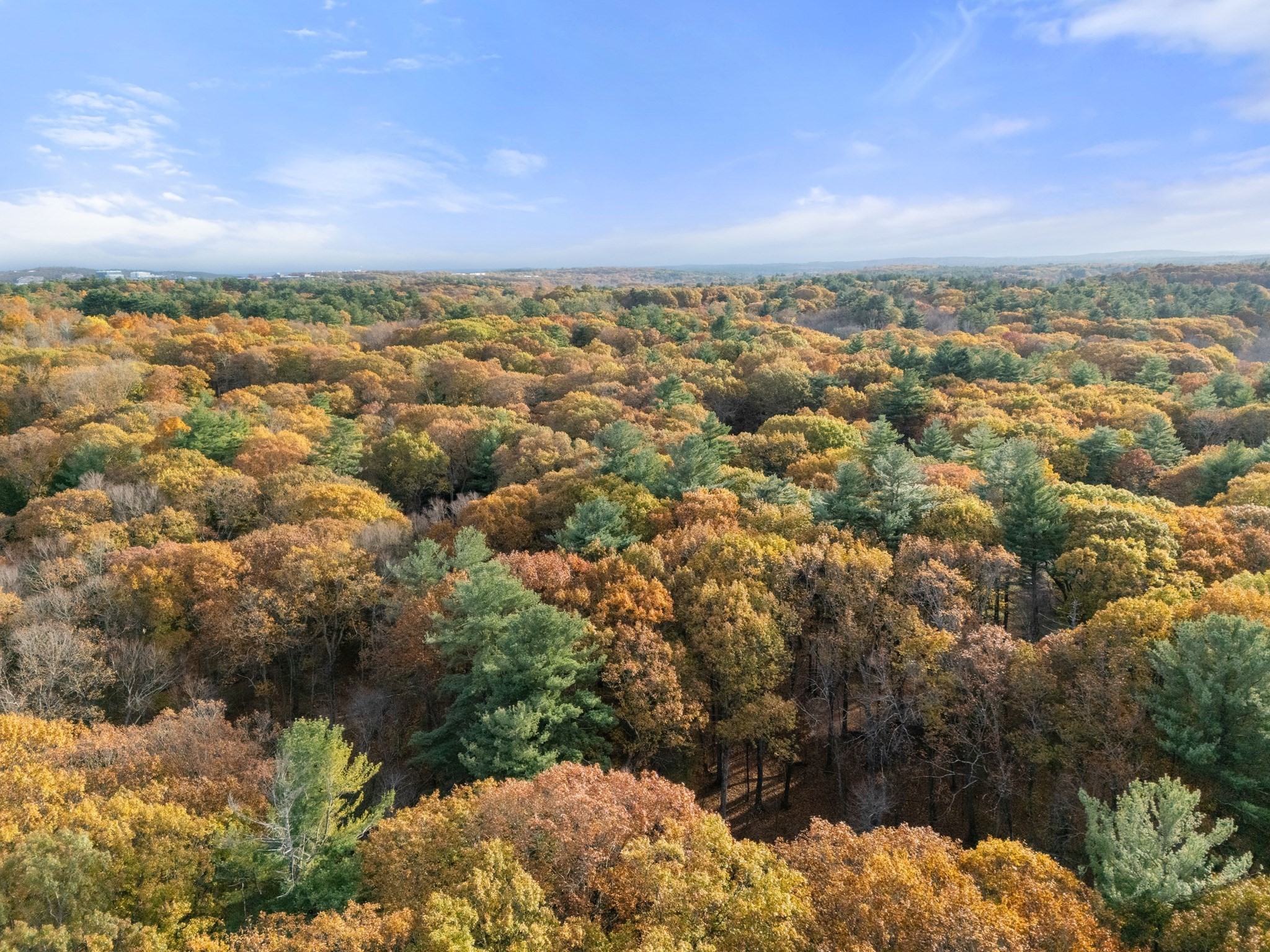 89 Lexington Road, Lincoln, MA 01773 - Image 4