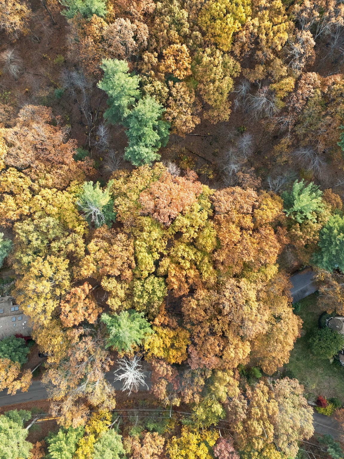 89 Lexington Road, Lincoln, MA 01773 - Image 5