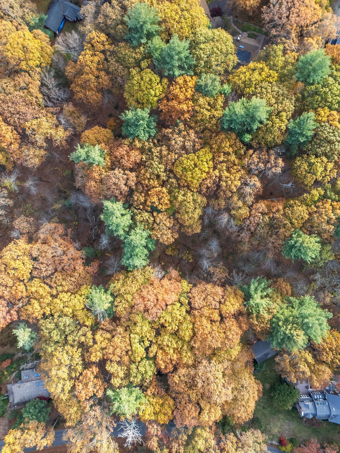 89 Lexington Road, Lincoln, MA 01773 - Image 6