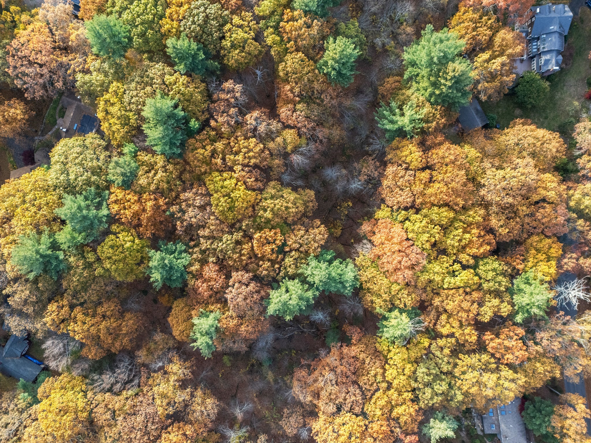 89 Lexington Road, Lincoln, MA 01773 - Image 7