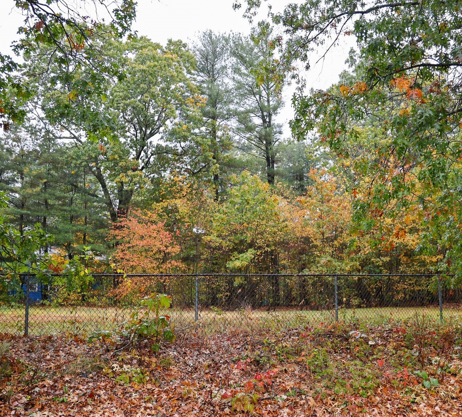 6 Leicester St, Billerica, MA 01821 - Image 11