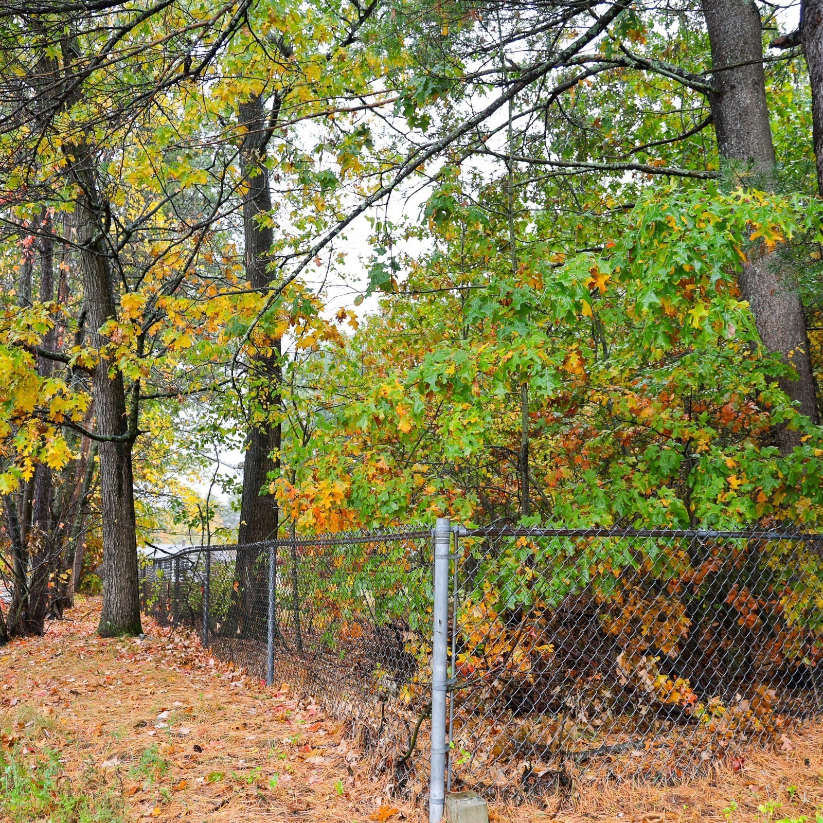 6 Leicester St, Billerica, MA 01821 - Image 12