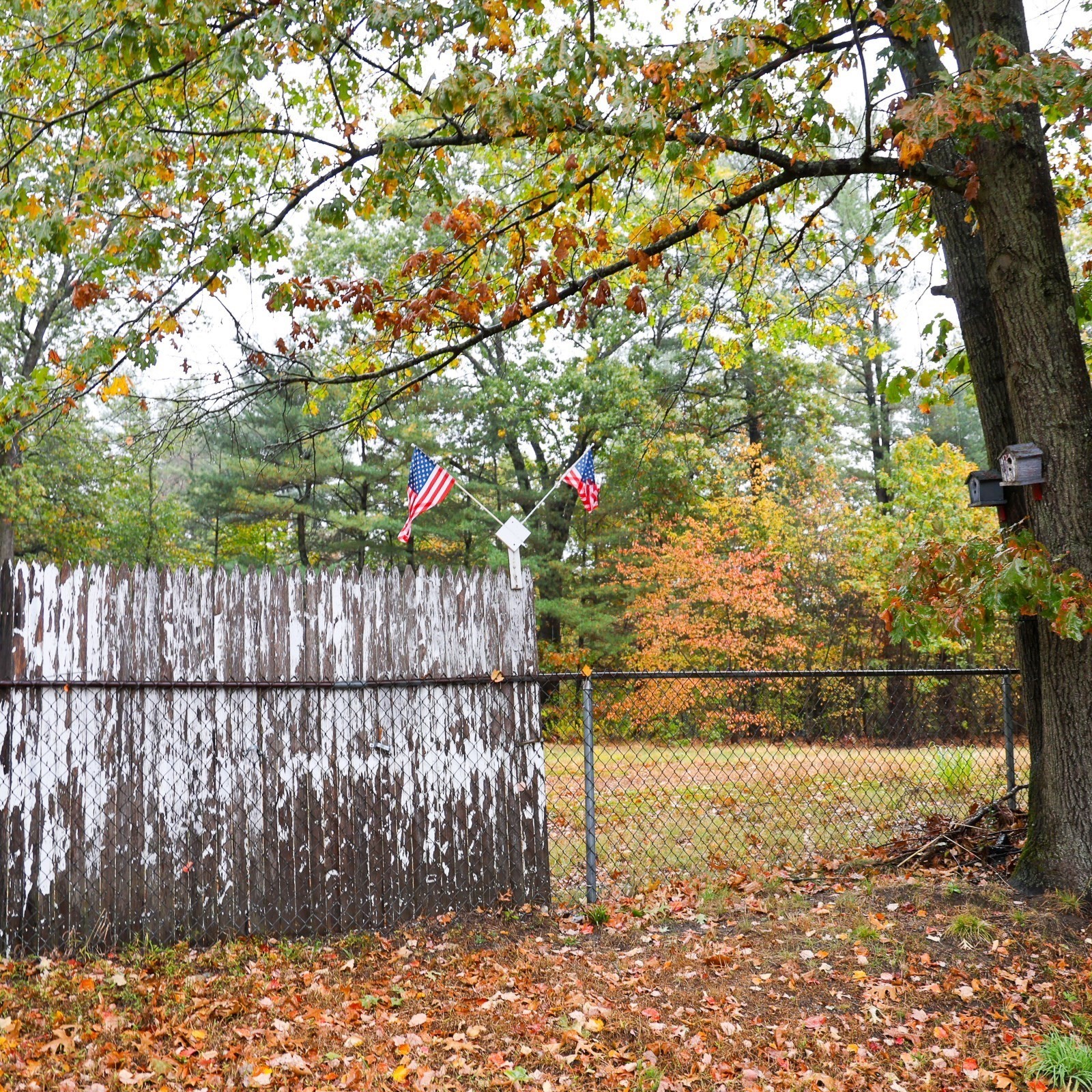 6 Leicester St, Billerica, MA 01821 - Image 6