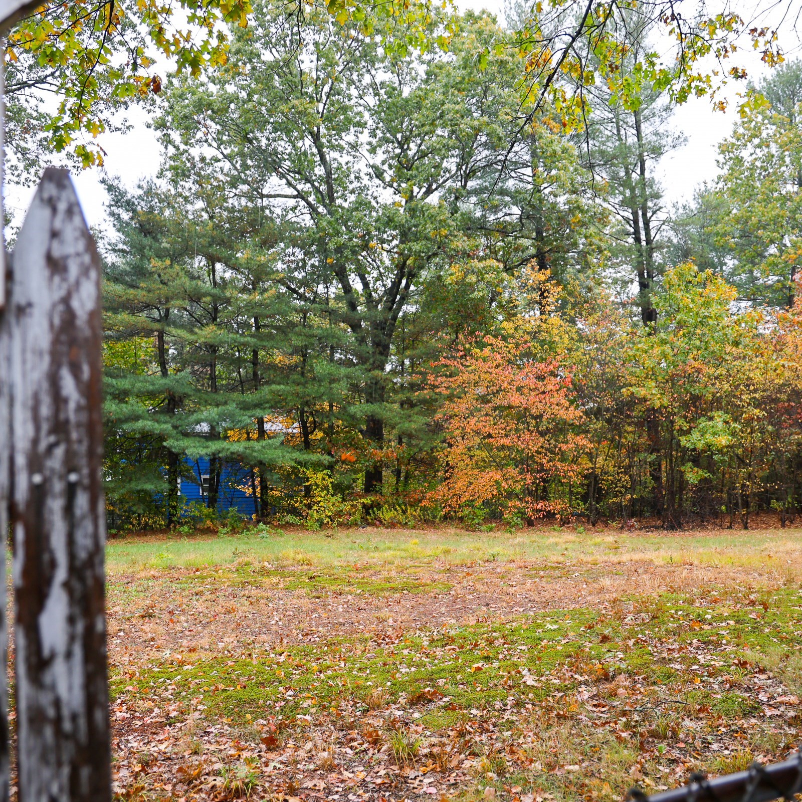 6 Leicester St, Billerica, MA 01821 - Image 7