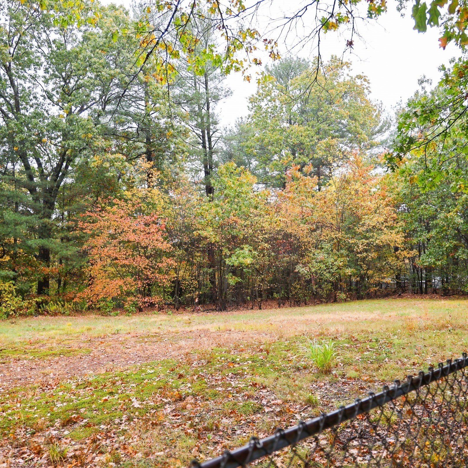 6 Leicester St, Billerica, MA 01821 - Image 8