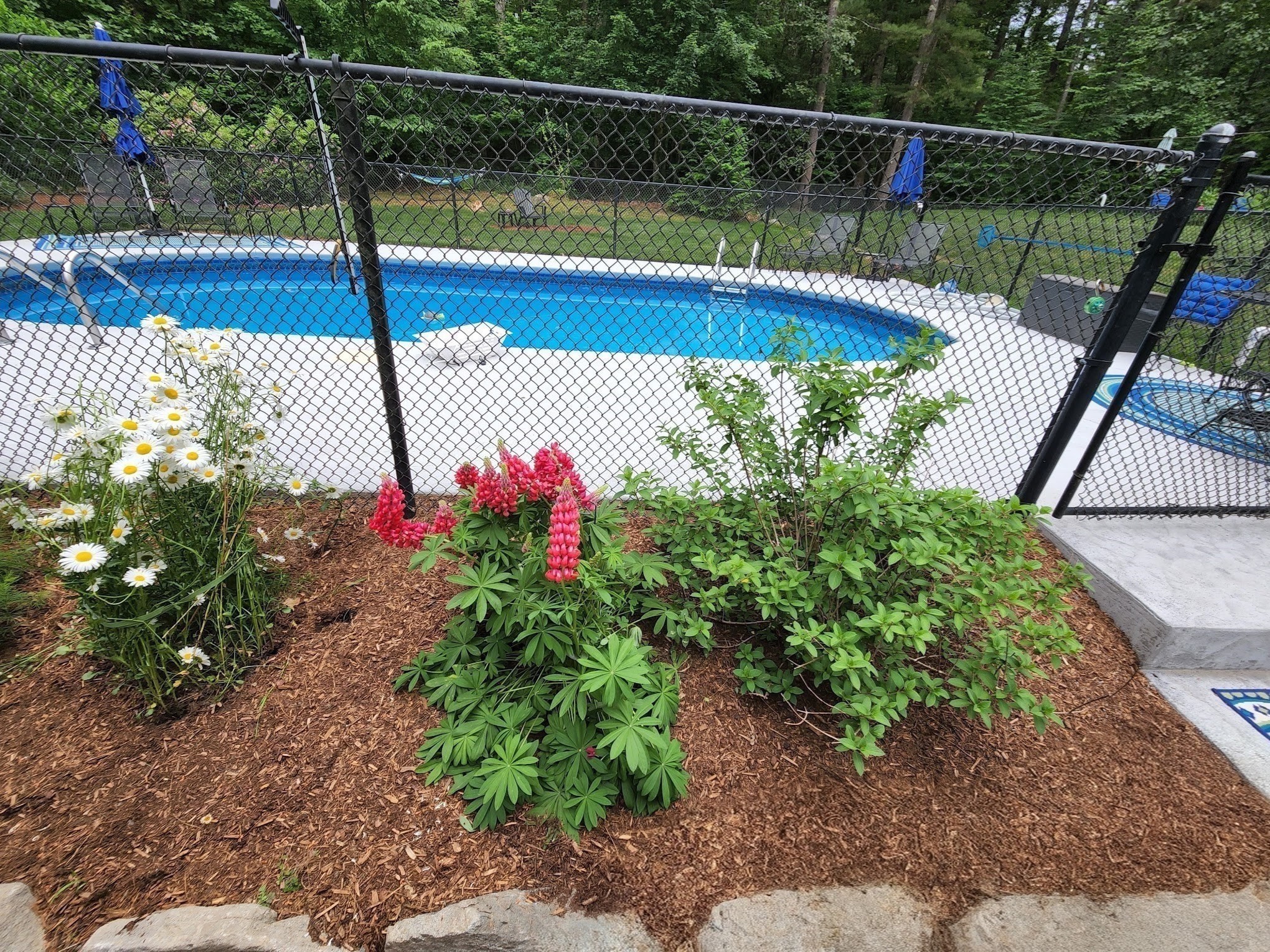 137 Hill, Groton, MA 01450 - Image 5