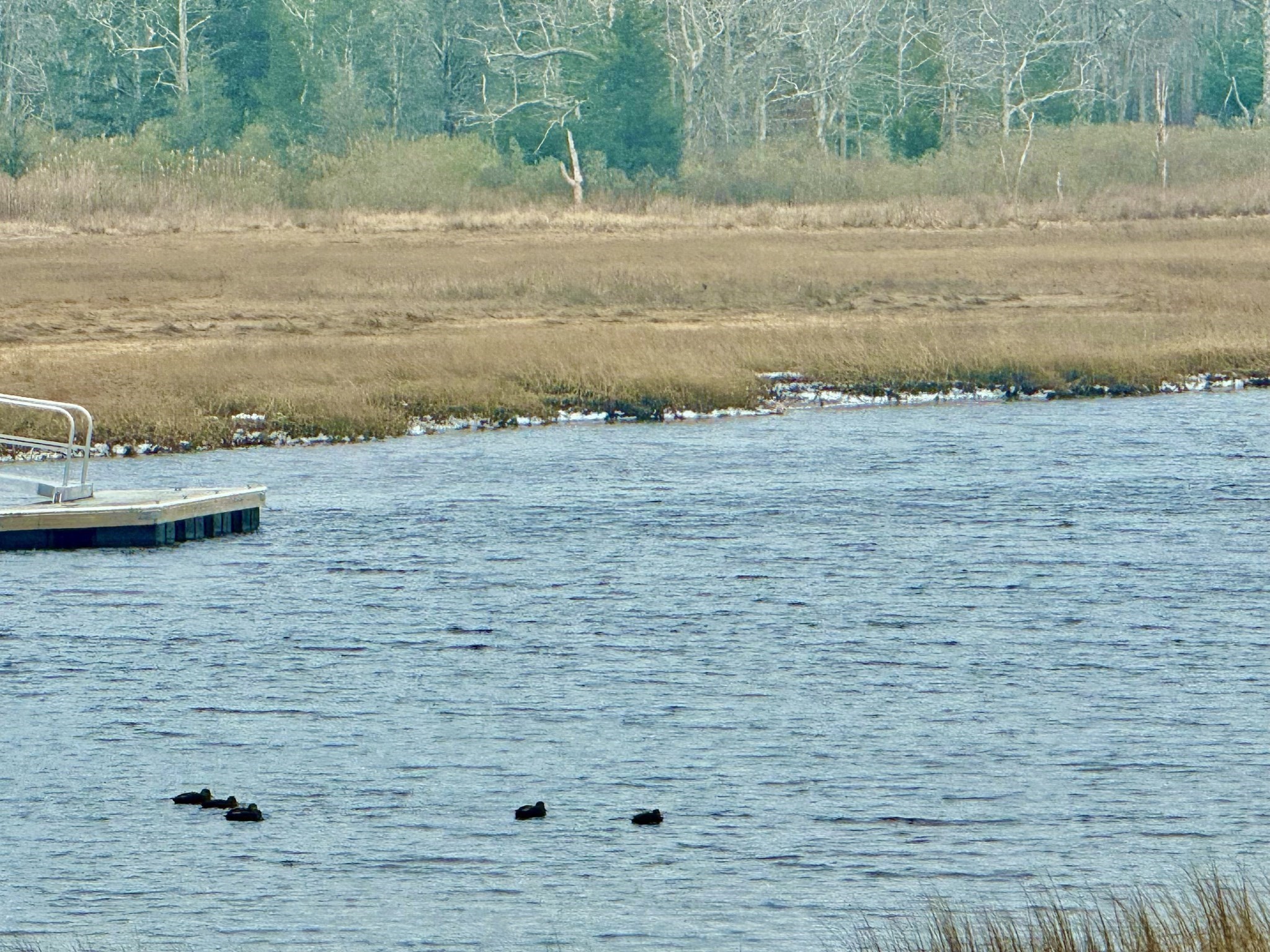 4 Roosevelt St, Wareham, MA 02571 - Image 19