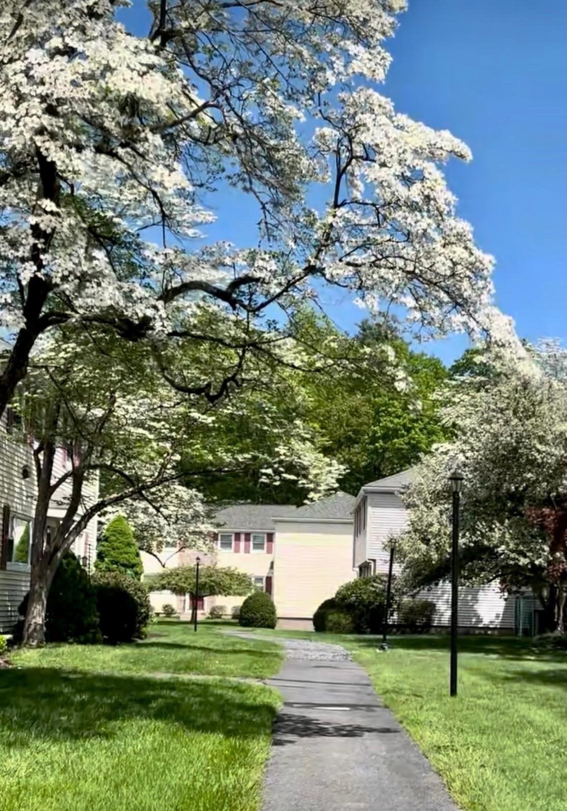 575 Union Avenue Unit 1, Framingham, MA 01702 - Image 31