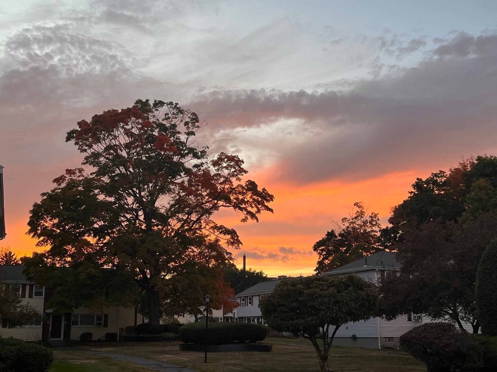 575 Union Avenue Unit 1, Framingham, MA 01702 - Image 32