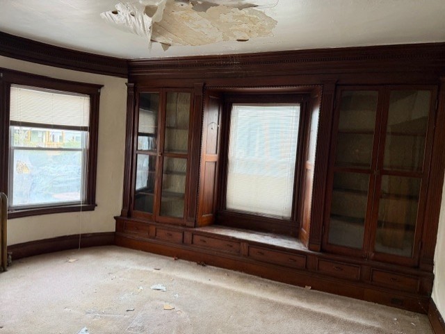 25 Charlotte St, Dorchester, Boston, MA 02121 - Image 12