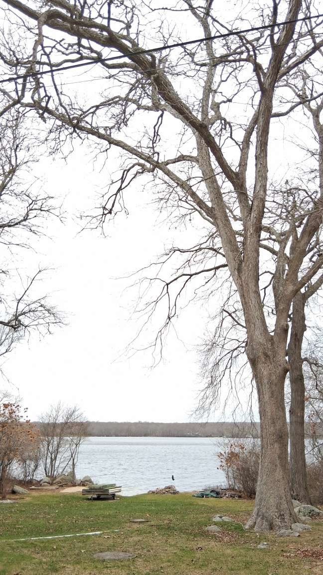 10 Elise Michelle Way, Westport, MA 02790 - Image 10