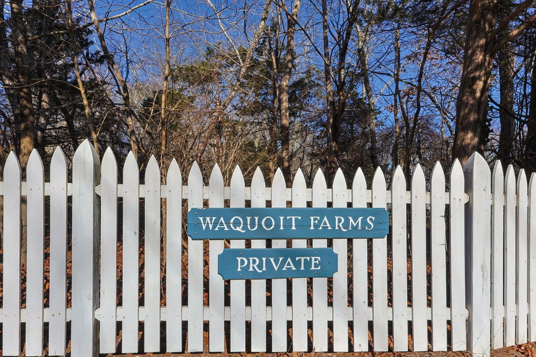 52 Waquoit Farms Dr, Falmouth, MA 02536 - Image 3