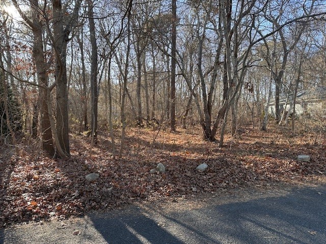 11 Makepeace Lane, Yarmouth, MA 02673 - Image 3