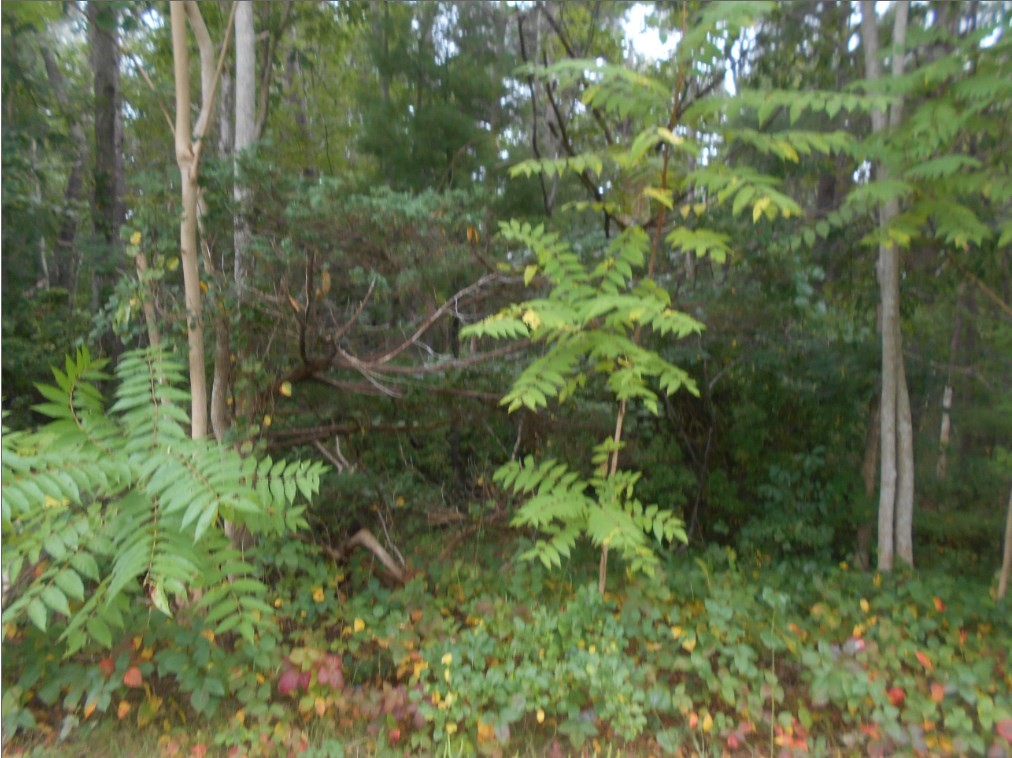 2711 Cranberry Hwy, Wareham, MA 02571 - Image 3