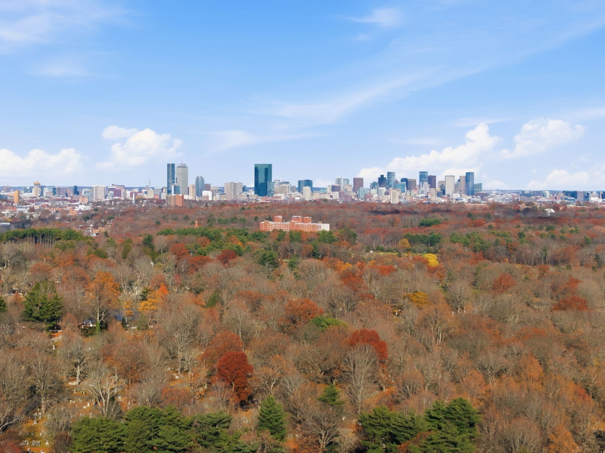 586 Canterbury Street, Roslindale, Boston, MA 02131 - Image 13