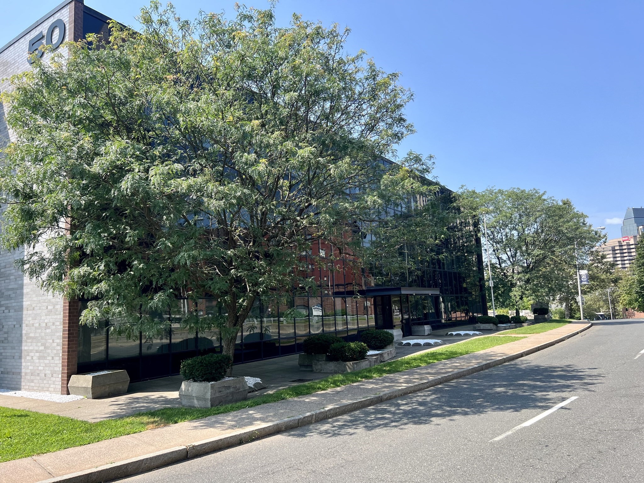 50 Maple St, Springfield, MA 01103 - Image 3