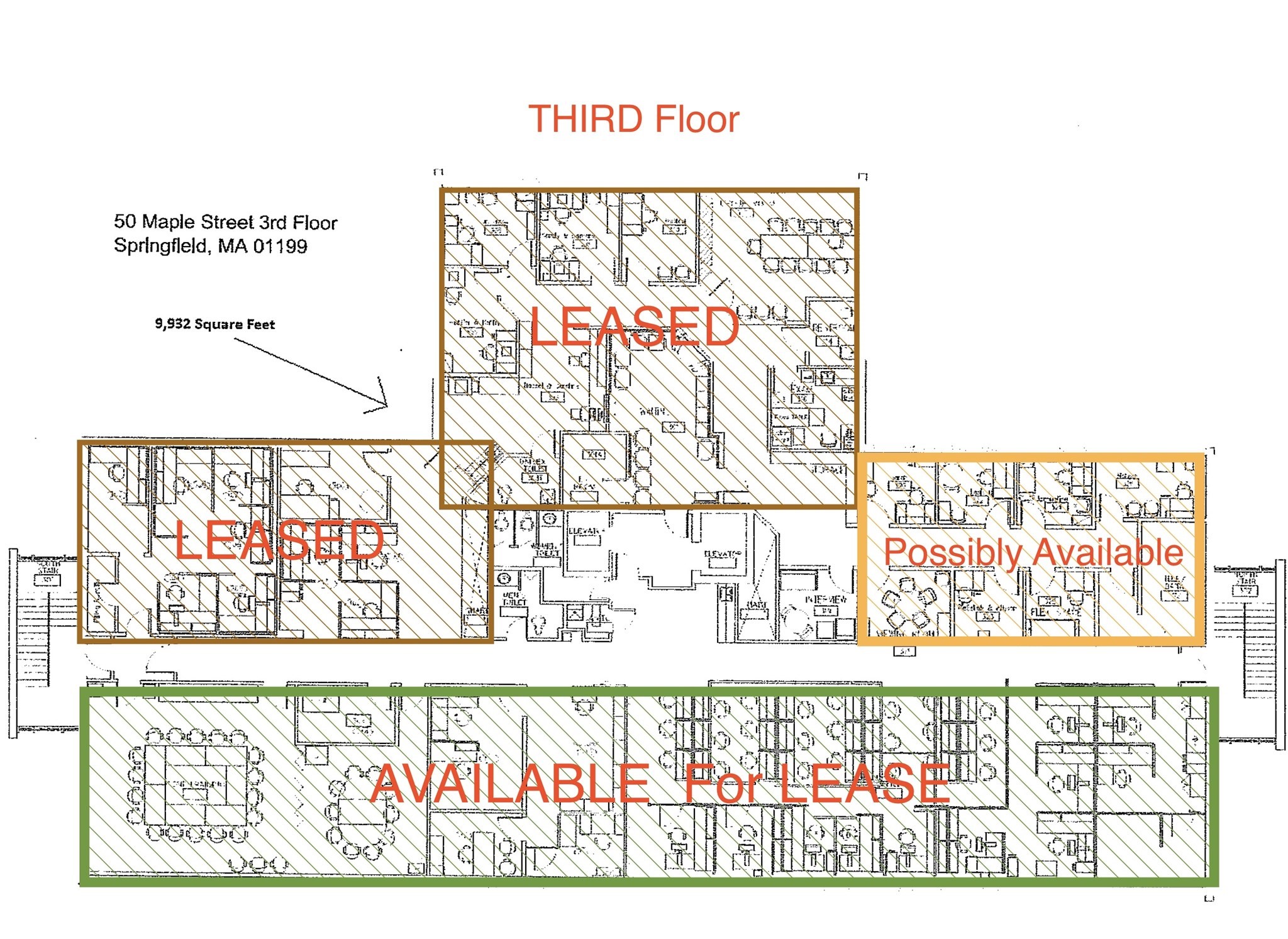 50 Maple St, Springfield, MA 01103 - Image 8