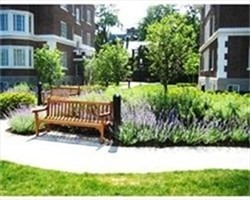 20 Chapel Street Unit A 303, Brookline, MA 02446 - Image 7