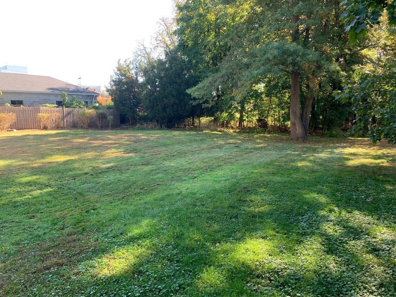 48 Chapel St Unit A, Northampton, MA 01060 - Image 5