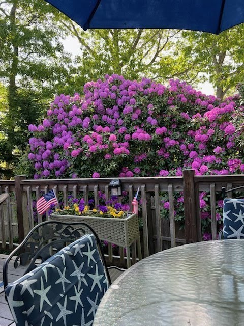 49 Snow Creek Dr, Barnstable, MA 02601 - Image 32