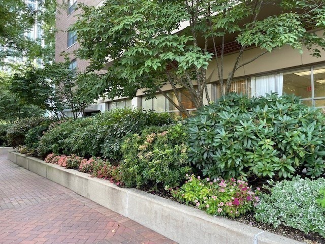 10 Hawthorne Place Unit 106, West End, Boston, MA 02114 - Image 5