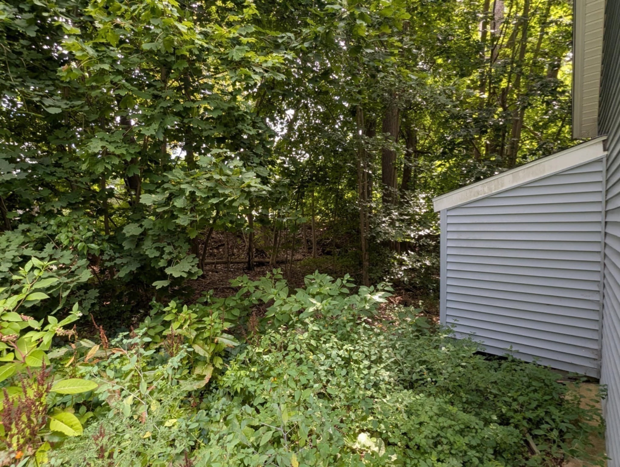 2428 Main St, Athol, MA 01331 - Image 19