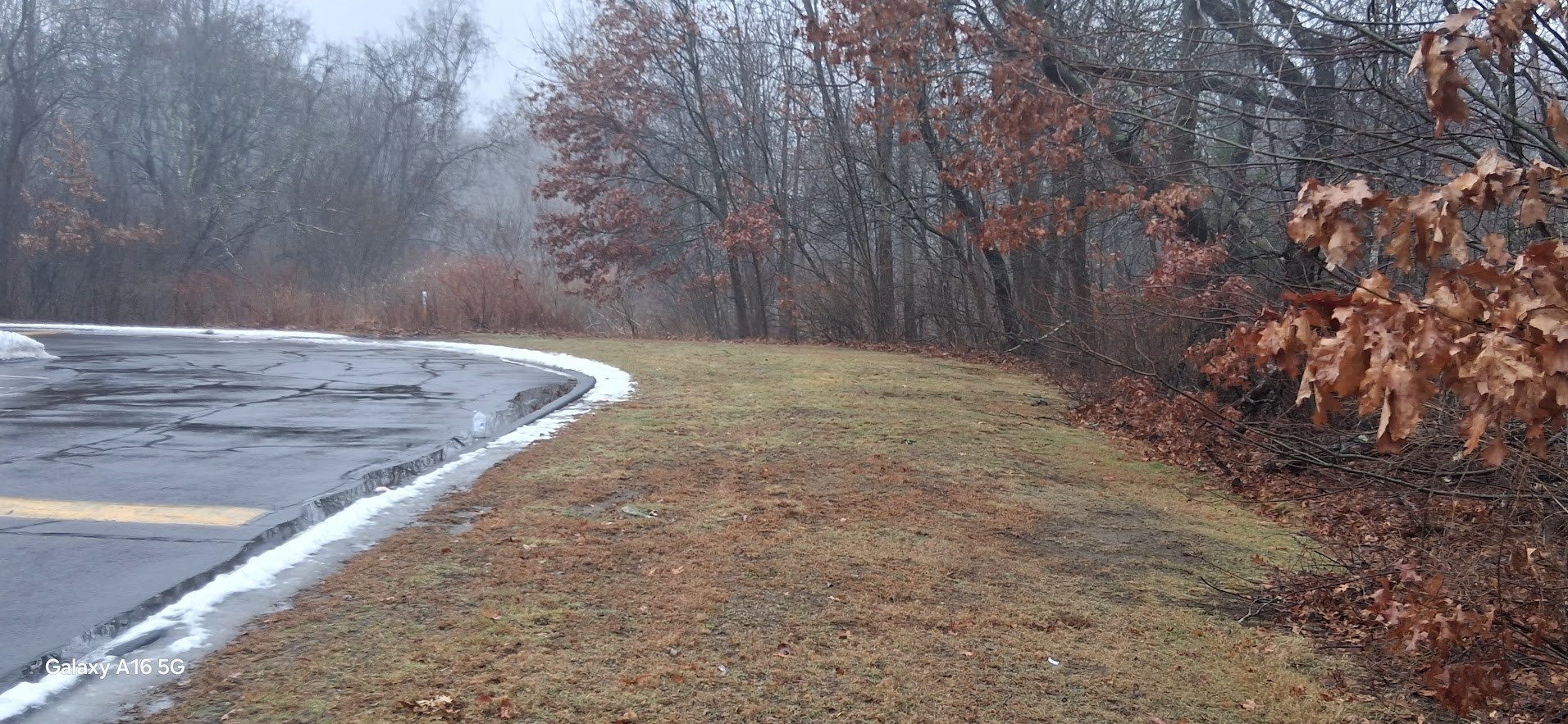 35 Longworth Ave Unit 25, Brockton, MA 02301 - Image 3