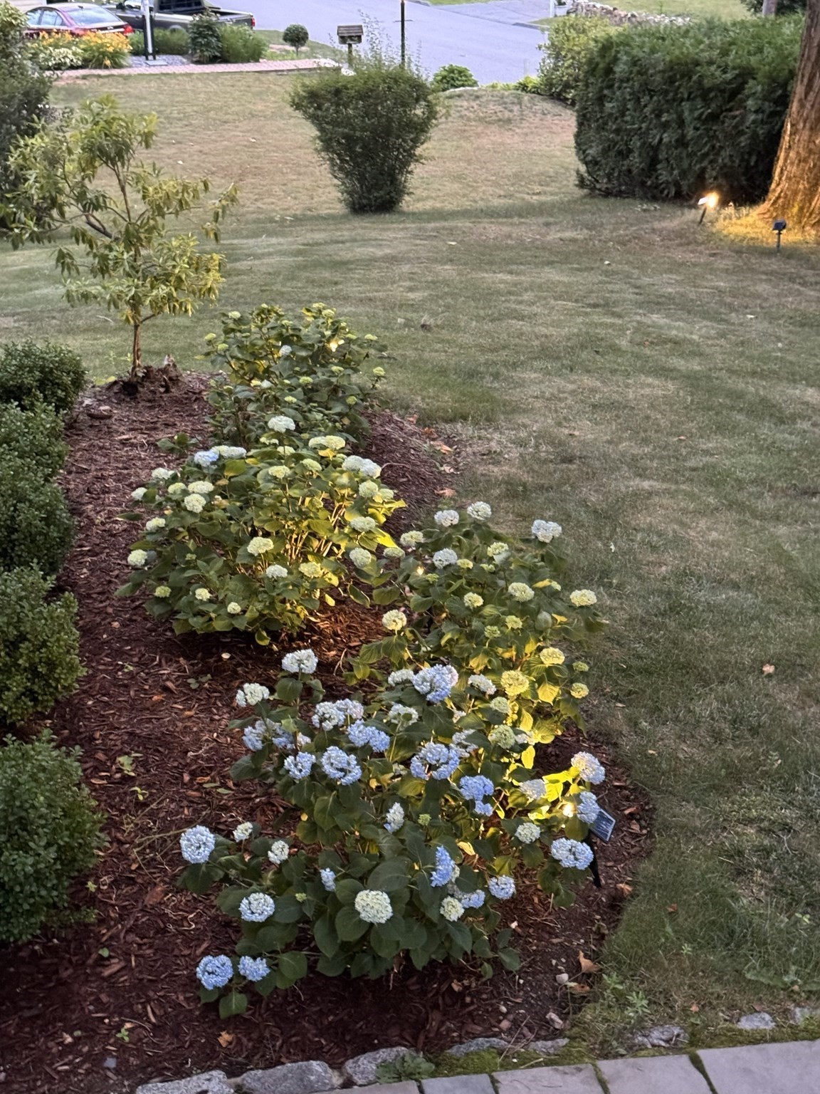 17 Wakefield St, Reading, MA 01867 - Image 33