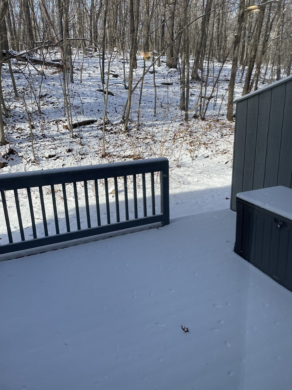 31 Blithewood Avenue Unit 705, Worcester, MA 01604 - Image 31