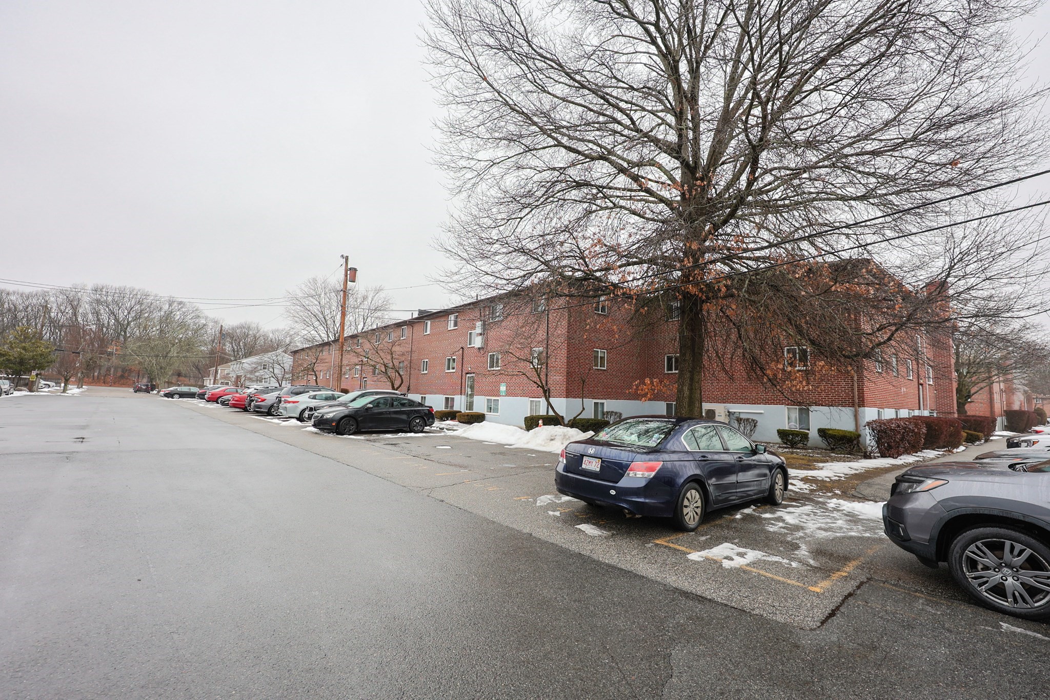 60 Bryon Rd Unit 1, West Roxbury, Boston, MA 02467 - Image 28