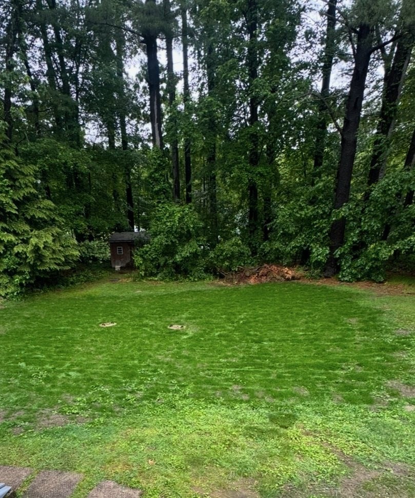 183 Ventura, Ludlow, MA 01056 - Image 39