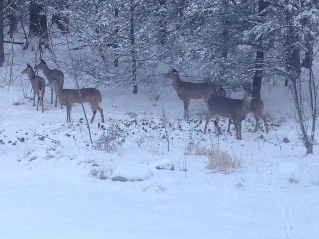 64 Oak Hill Rd, Worcester, MA 01609 - Image 42