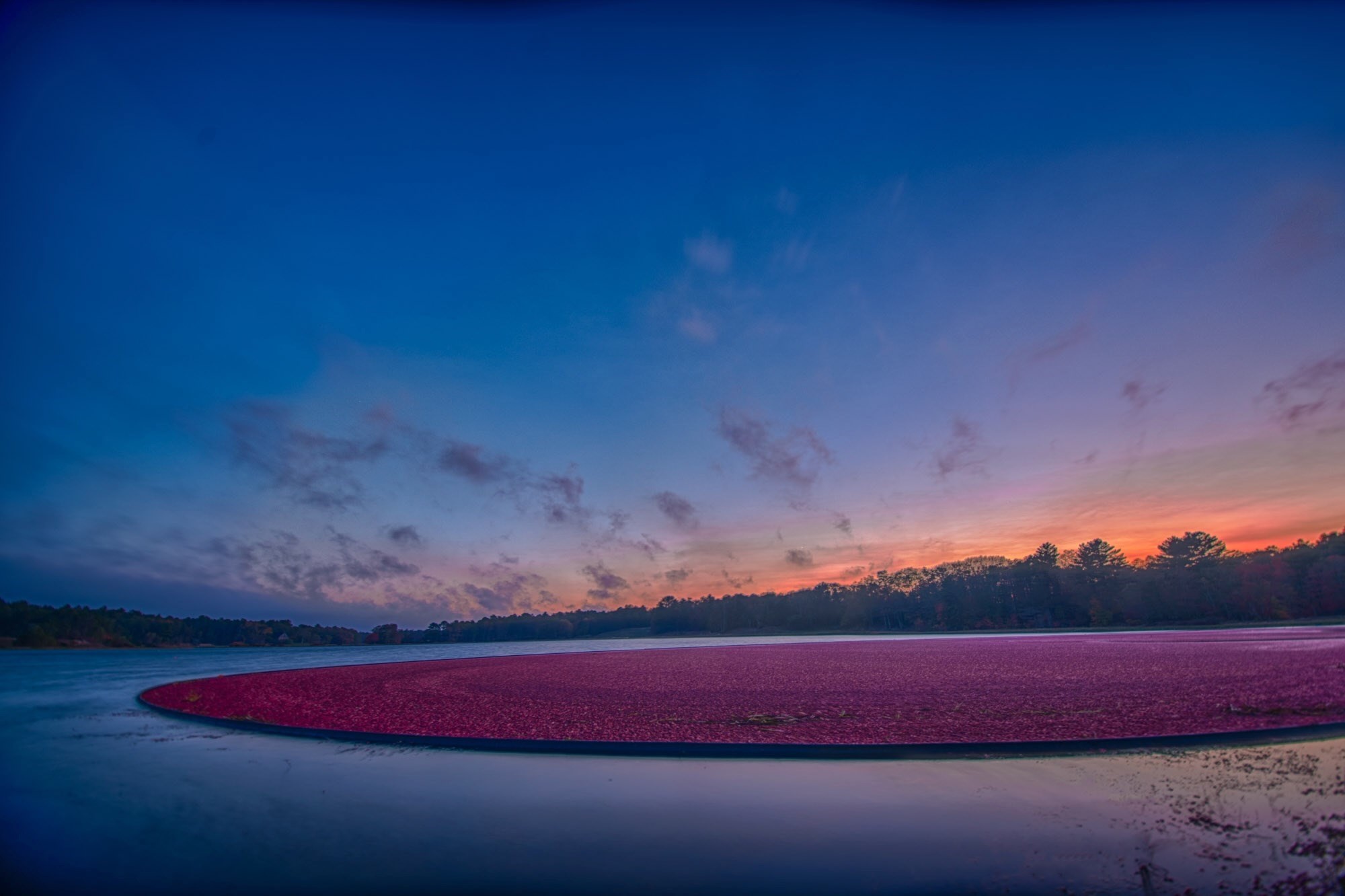 15 Greenside Way N, Plymouth, MA 02360 - Image 20